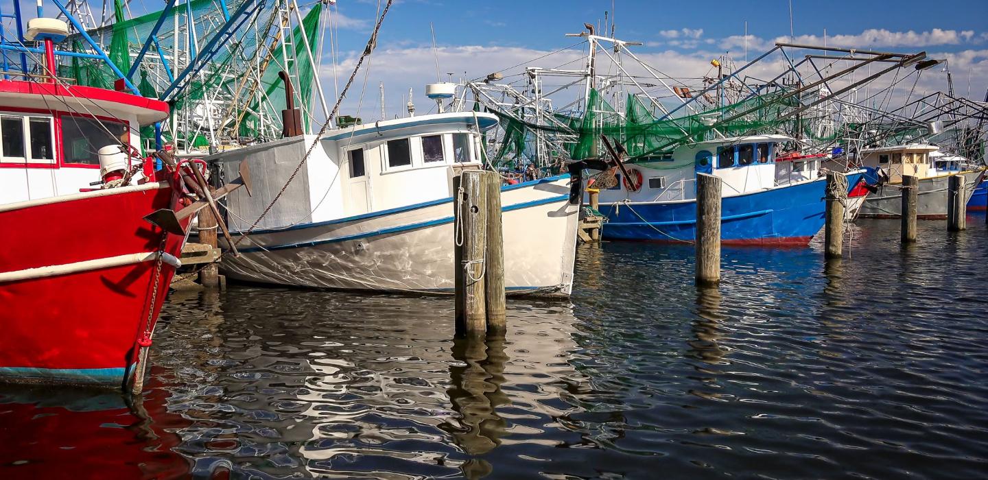 Fishing boats in the marina in Mississippi.