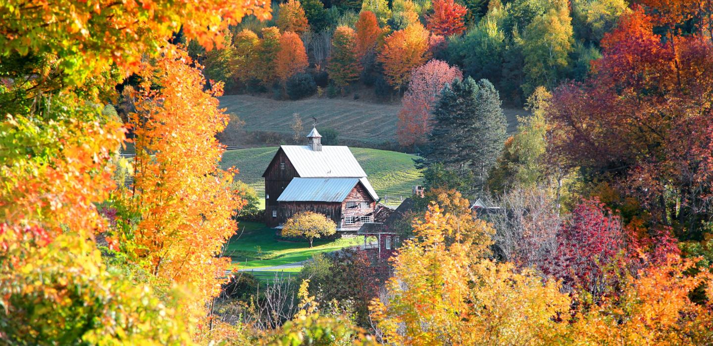 A secluded farmhouse in the calm woods of Vermont.